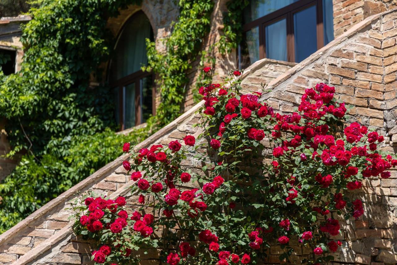 Badia Ardenga Aparthotel Montalcino Eksteriør bilde